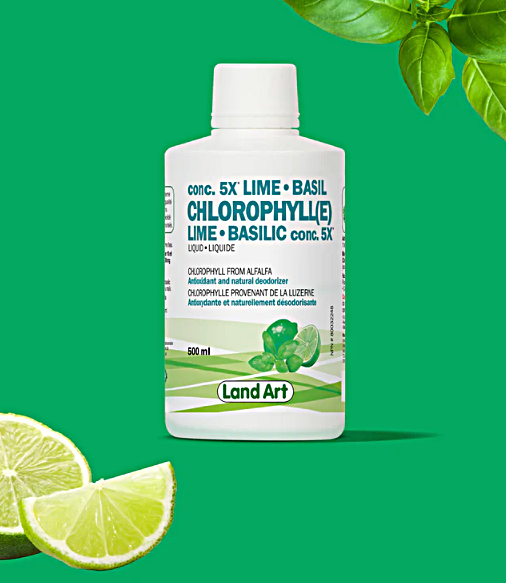 Chlorophylle Liquide Basilic-Citron Vert 500 ml