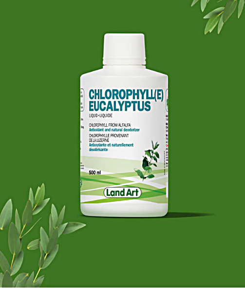Chlorophyll Eucalyptus Liquid 500 ml