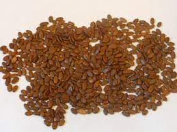 Mimosa Seeds Whole