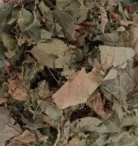 Parijat Leaves Cut & Sifted