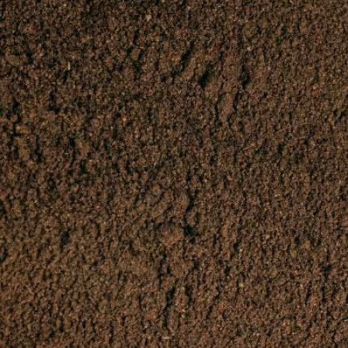 Psoralea Seed (Babchi) Powder